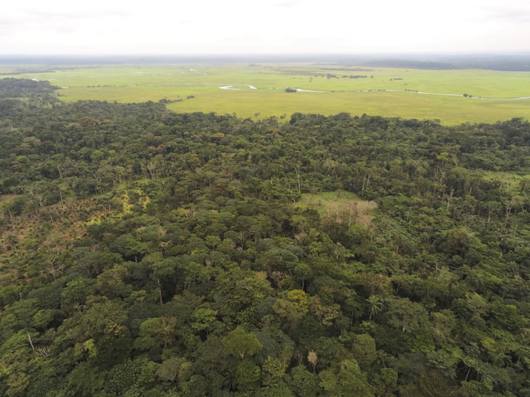 Agroforesterie