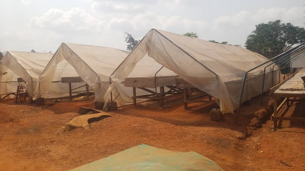 Localisation Ayos Cameroun