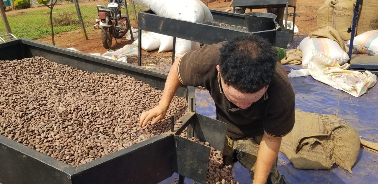 Séchage cacao